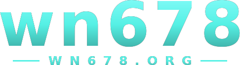 wn678 logo